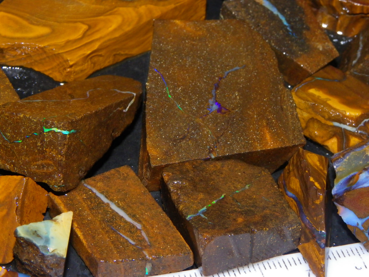 Nice Rough/Sliced Boulder Opal Parcel 1346cts Some Veins/Patterns/Fires