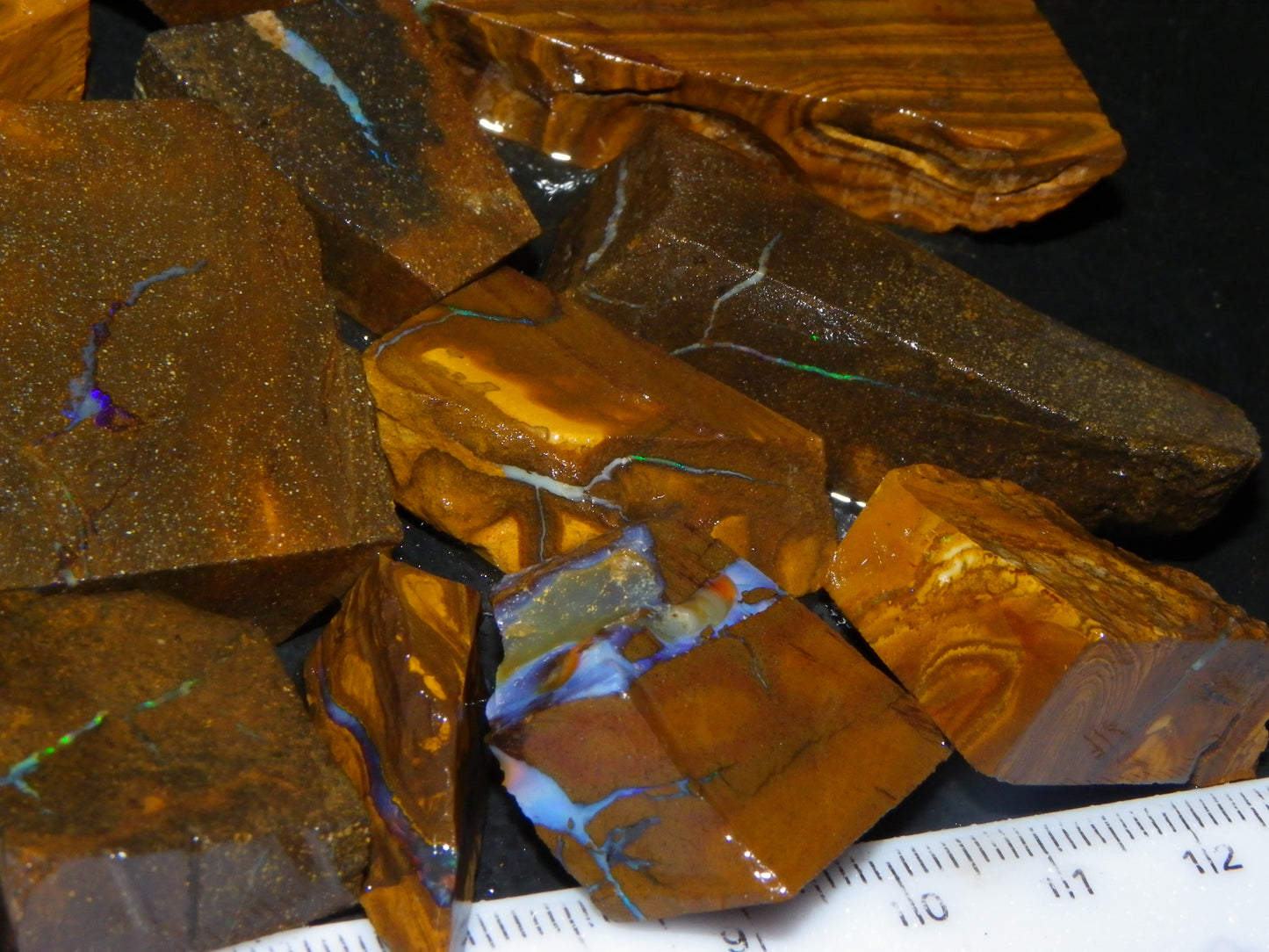 Nice Rough/Sliced Boulder Opal Parcel 1346cts Some Veins/Patterns/Fires