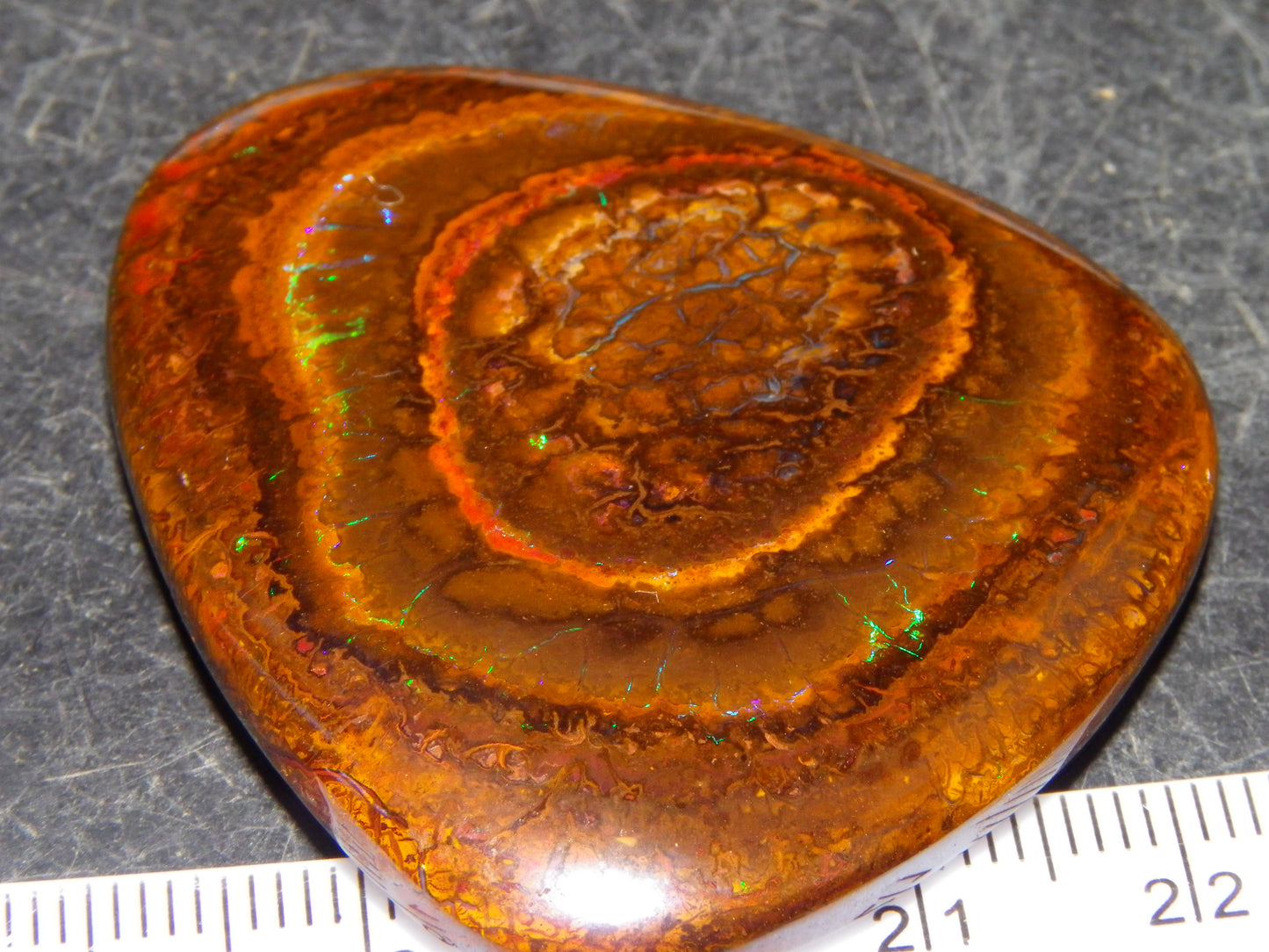 Nice Koroit Opal Nut/Cab/Freeform 115.5cts Green Fires/veins Queensland Australia