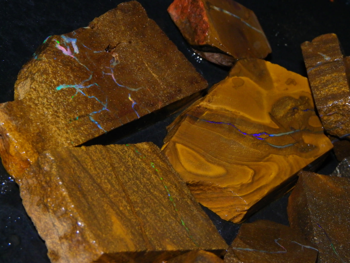 Nice Rough/Sliced Boulder Opal Parcel 1346cts Some Veins/Patterns/Fires