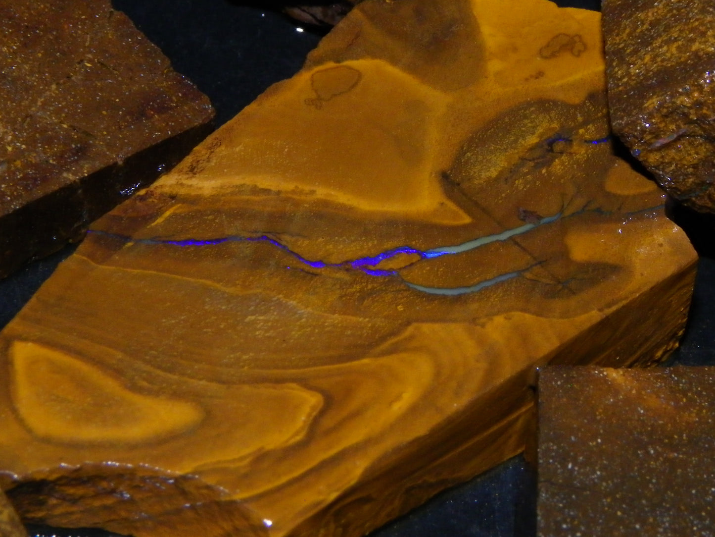 Nice Rough/Sliced Boulder Opal Parcel 1346cts Some Veins/Patterns/Fires