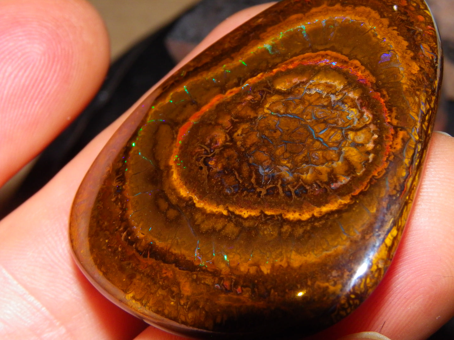Nice Koroit Opal Nut/Cab/Freeform 115.5cts Green Fires/veins Queensland Australia