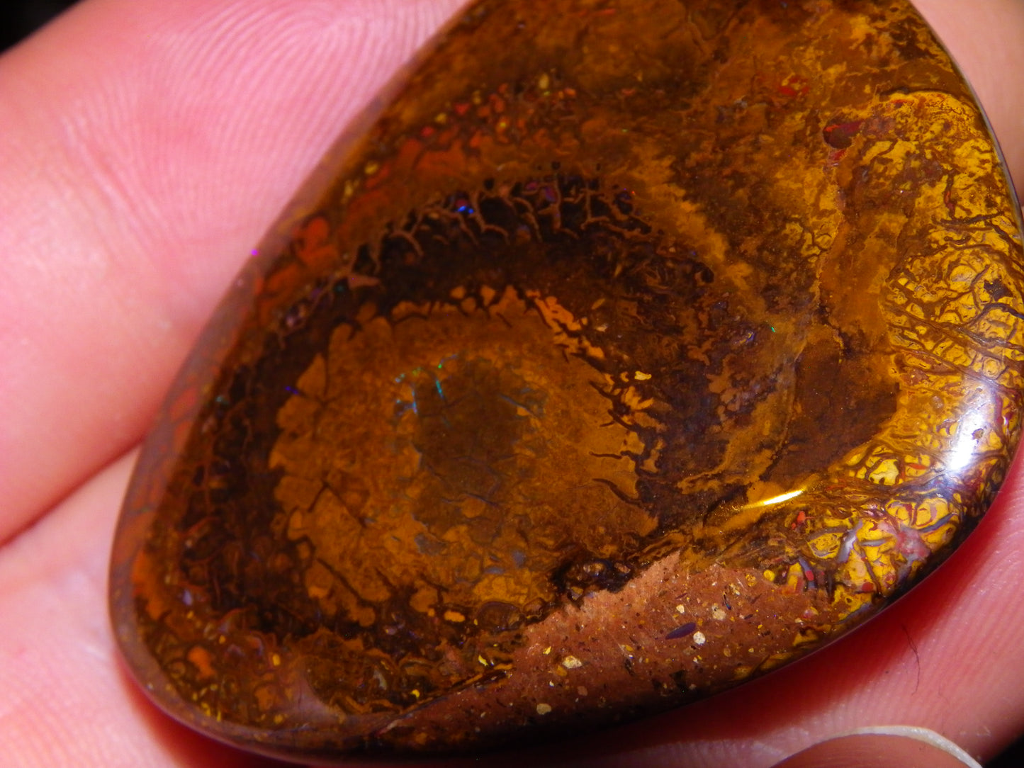 Nice Koroit Opal Nut/Cab/Freeform 115.5cts Green Fires/veins Queensland Australia