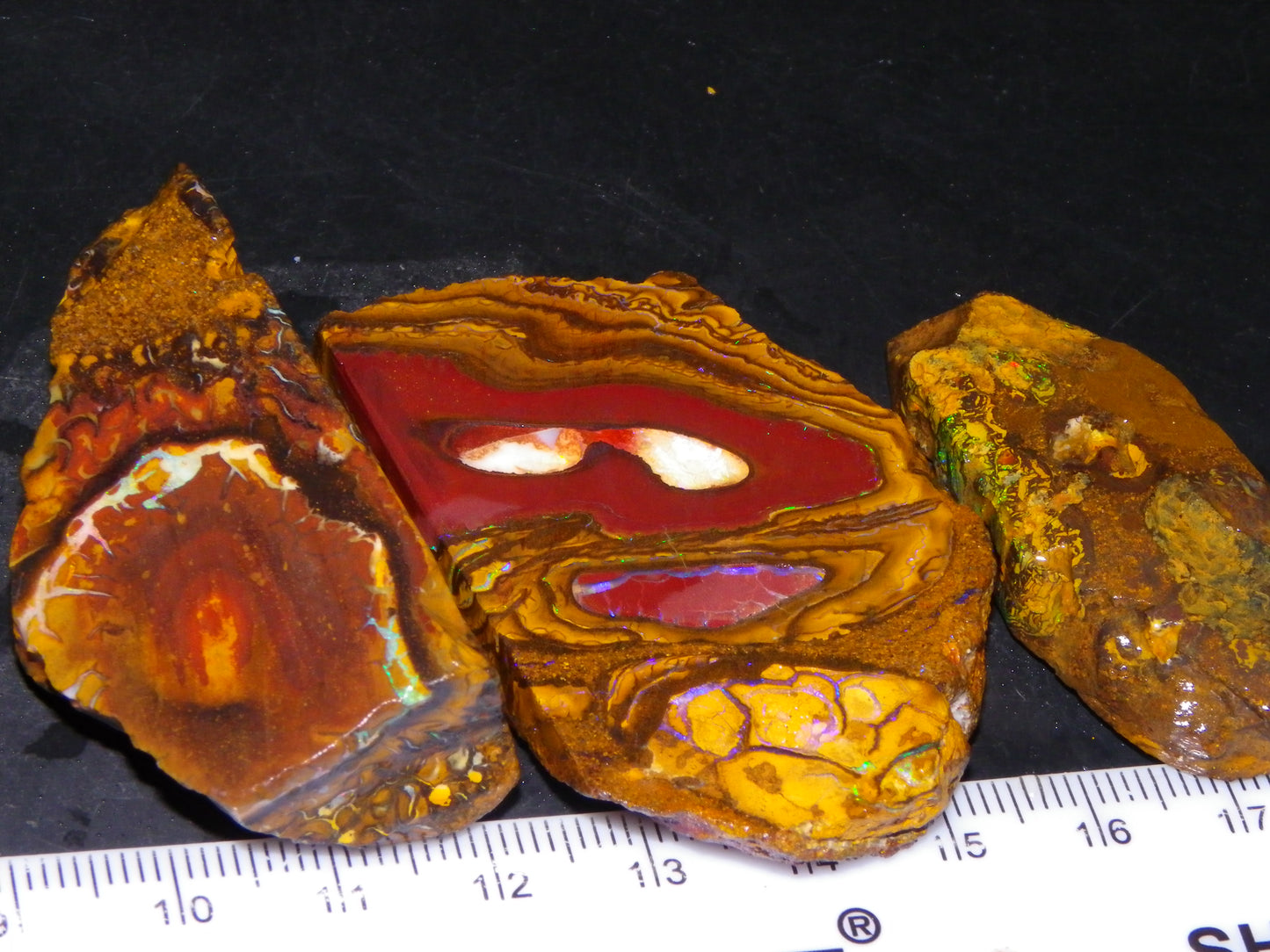 3 Nice Rough/Sliced Koroit Opal Specimens/Rough 337cts Blue/Green Fires/Patterns