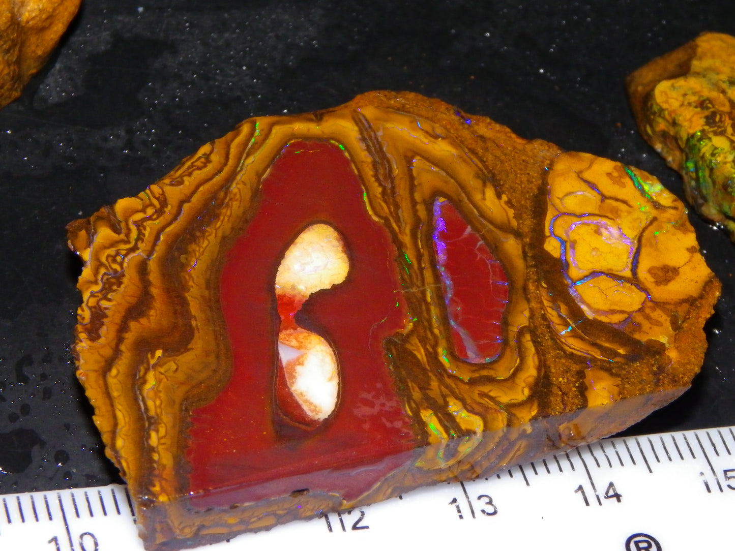 3 Nice Rough/Sliced Koroit Opal Specimens/Rough 337cts Blue/Green Fires/Patterns