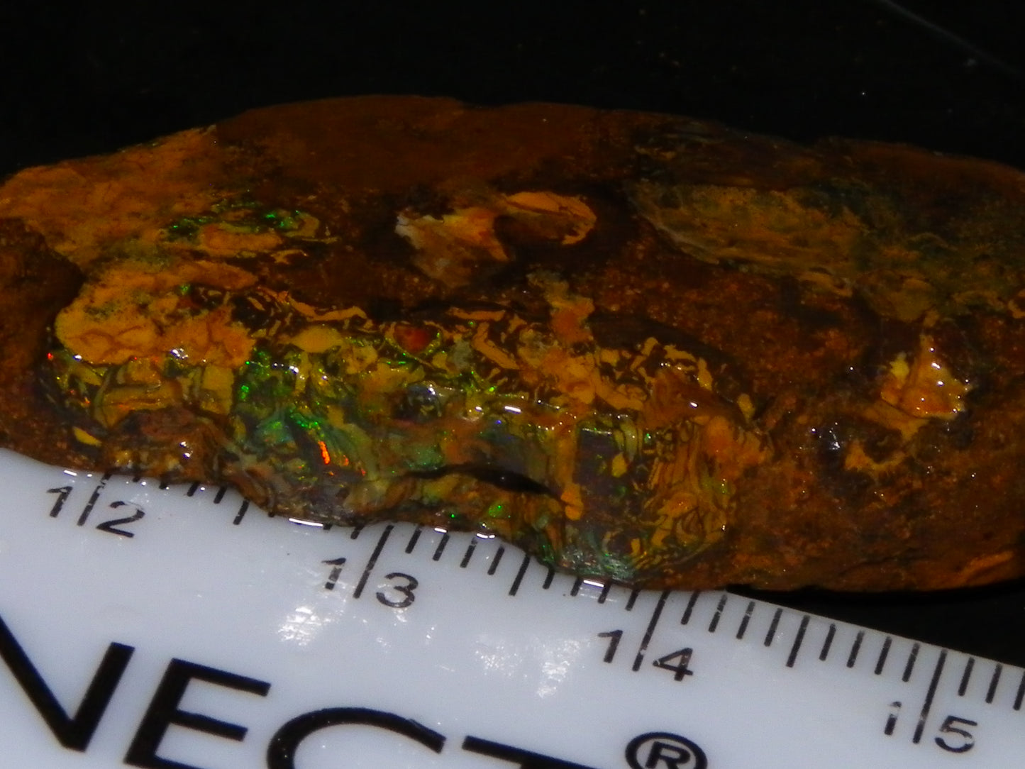 3 Nice Rough/Sliced Koroit Opal Specimens/Rough 337cts Blue/Green Fires/Patterns