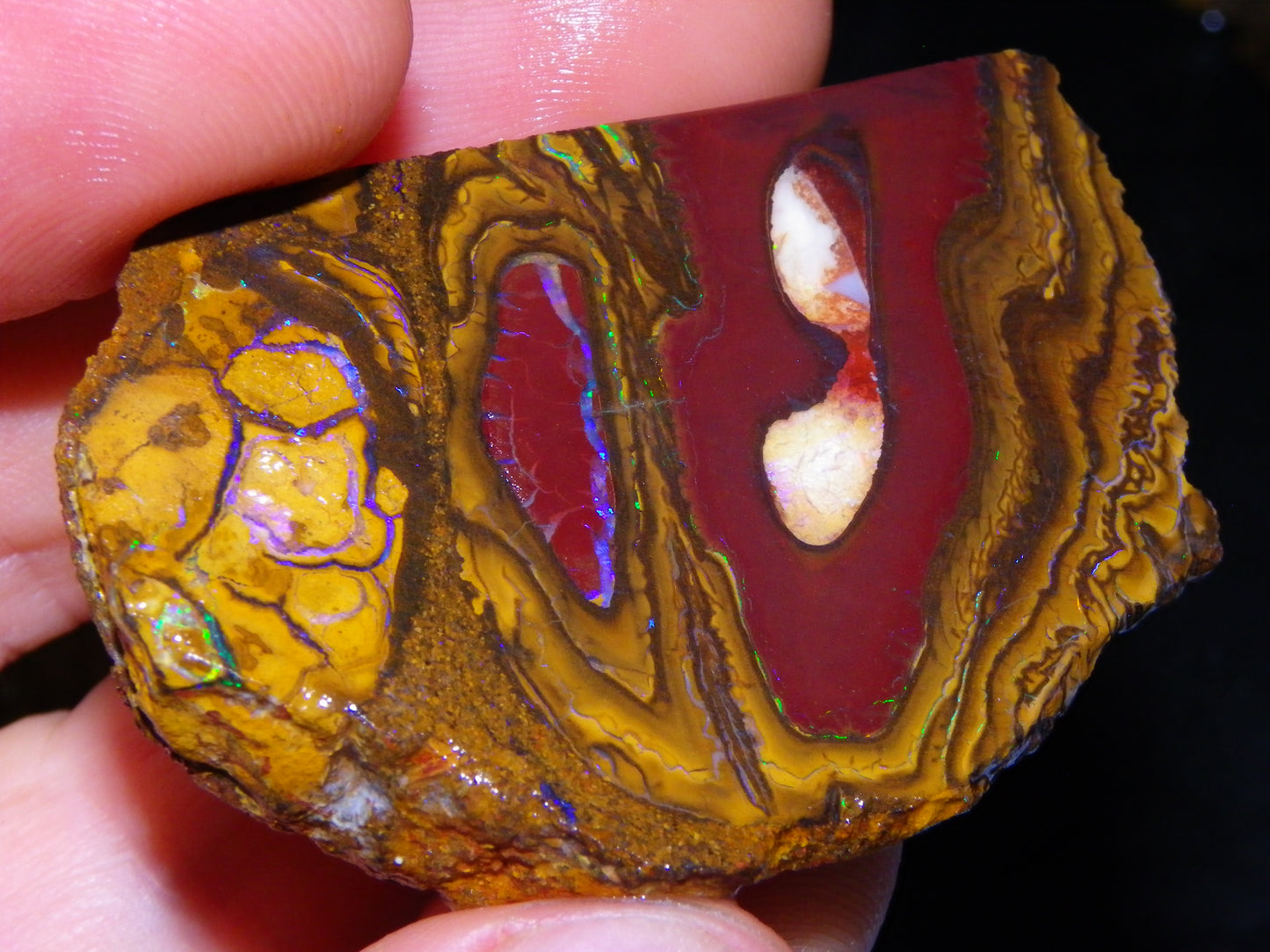 3 Nice Rough/Sliced Koroit Opal Specimens/Rough 337cts Blue/Green Fires/Patterns