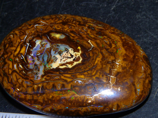 Nice Cut/Polished Koroit Nut Opal Cab 114.6cts Patterns/Green/Blue Fires