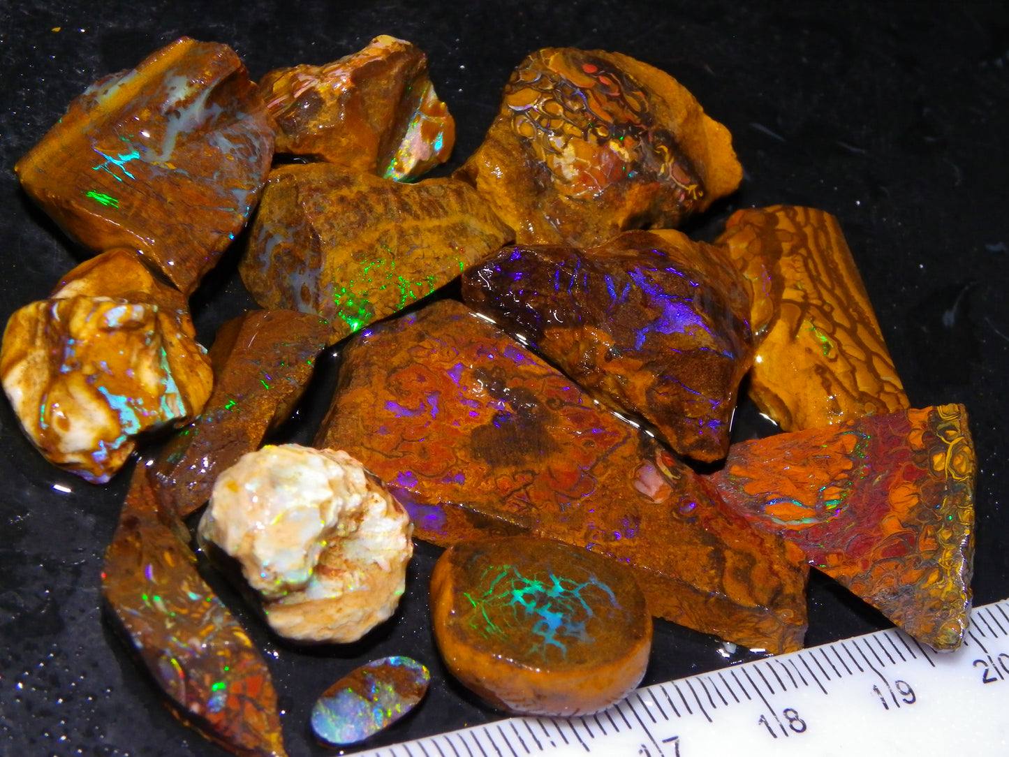 Nice Rough/Sliced Koroit/Matrix Opal Parcel 226.2cts Queensland Australia Veins/Pattern