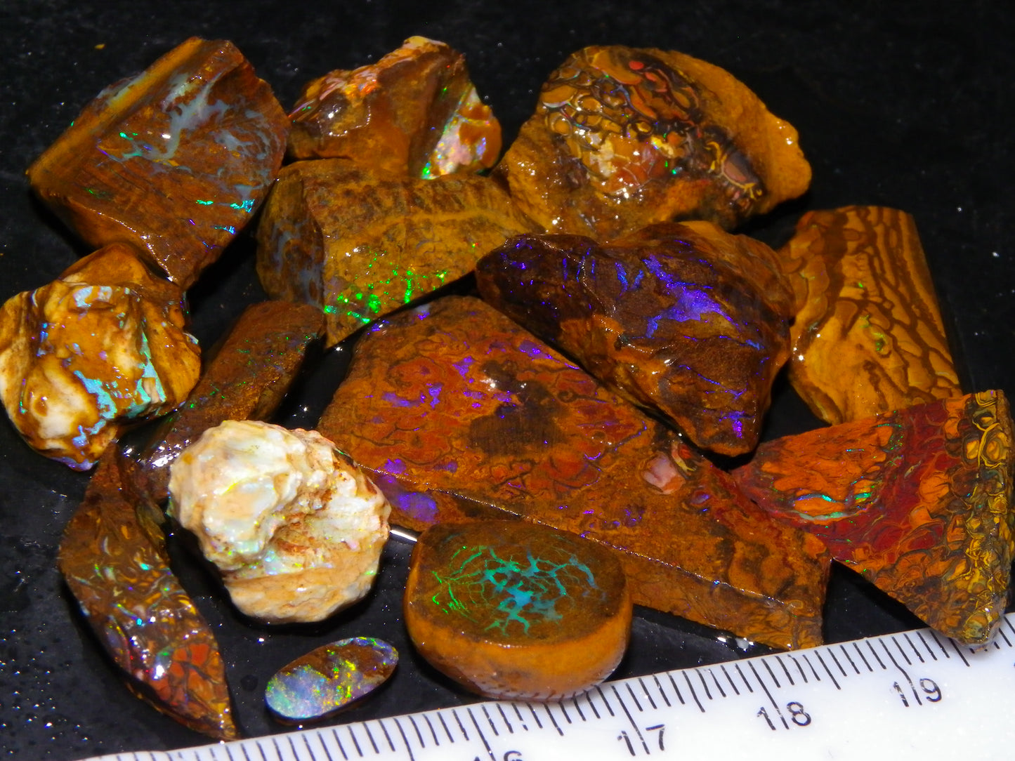 Nice Rough/Sliced Koroit/Matrix Opal Parcel 226.2cts Queensland Australia Veins/Pattern