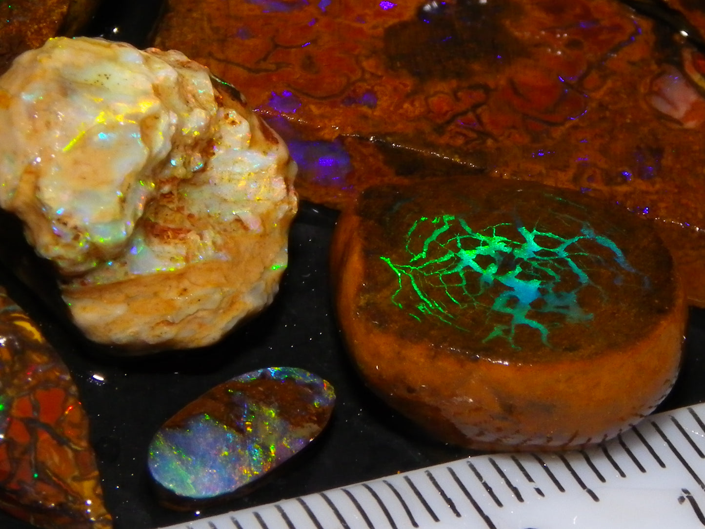 Nice Rough/Sliced Koroit/Matrix Opal Parcel 226.2cts Queensland Australia Veins/Pattern