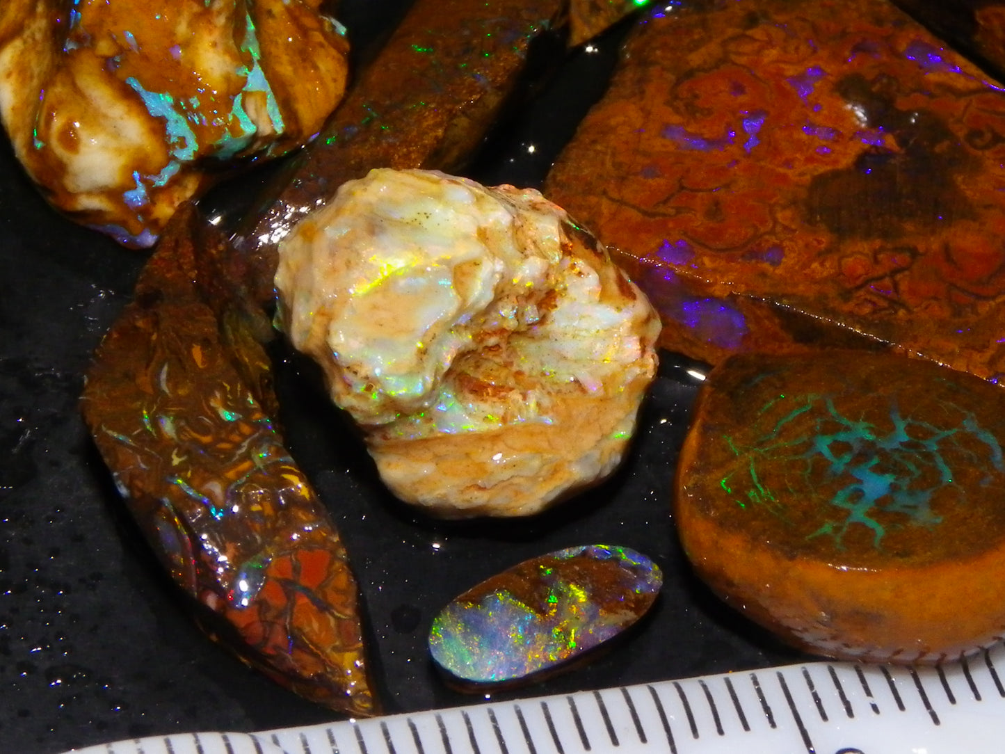 Nice Rough/Sliced Koroit/Matrix Opal Parcel 226.2cts Queensland Australia Veins/Pattern