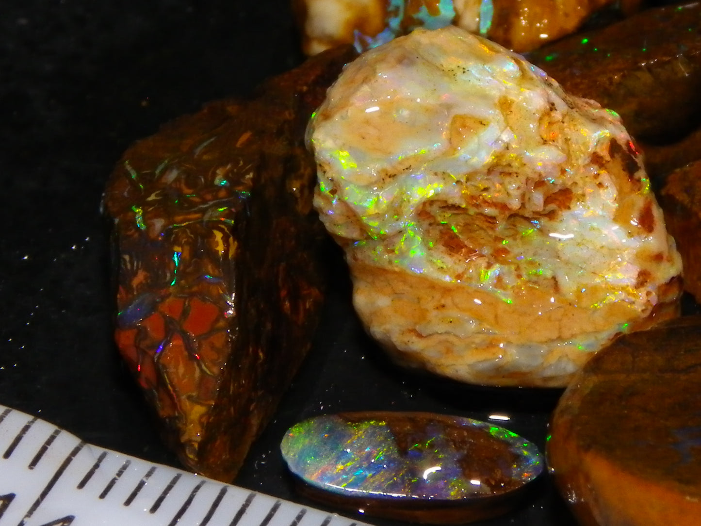 Nice Rough/Sliced Koroit/Matrix Opal Parcel 226.2cts Queensland Australia Veins/Pattern