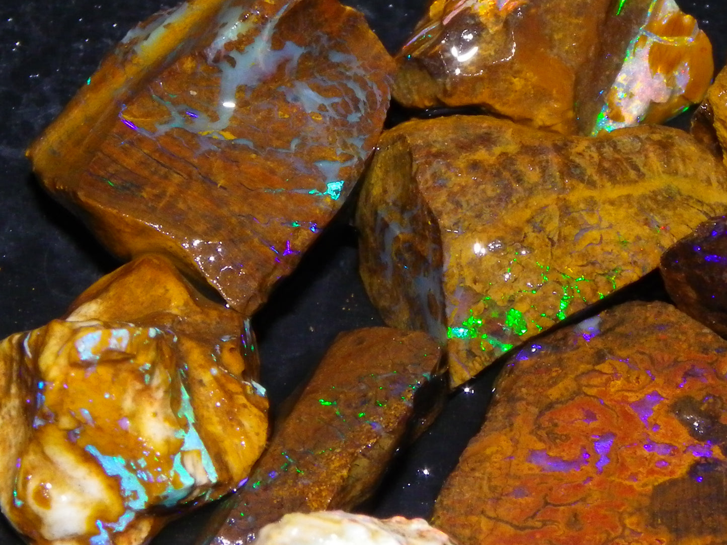 Nice Rough/Sliced Koroit/Matrix Opal Parcel 226.2cts Queensland Australia Veins/Pattern