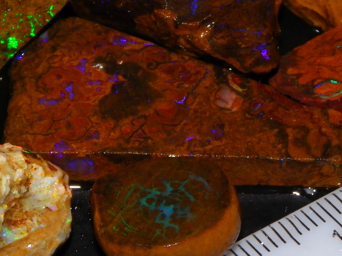 Nice Rough/Sliced Koroit/Matrix Opal Parcel 226.2cts Queensland Australia Veins/Pattern