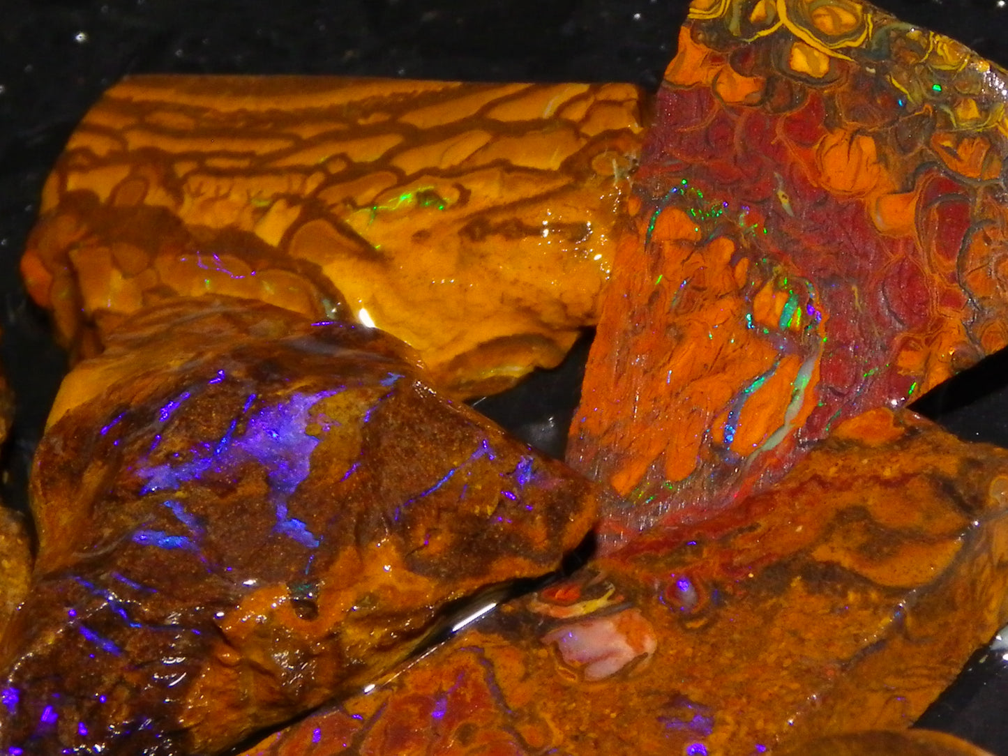 Nice Rough/Sliced Koroit/Matrix Opal Parcel 226.2cts Queensland Australia Veins/Pattern