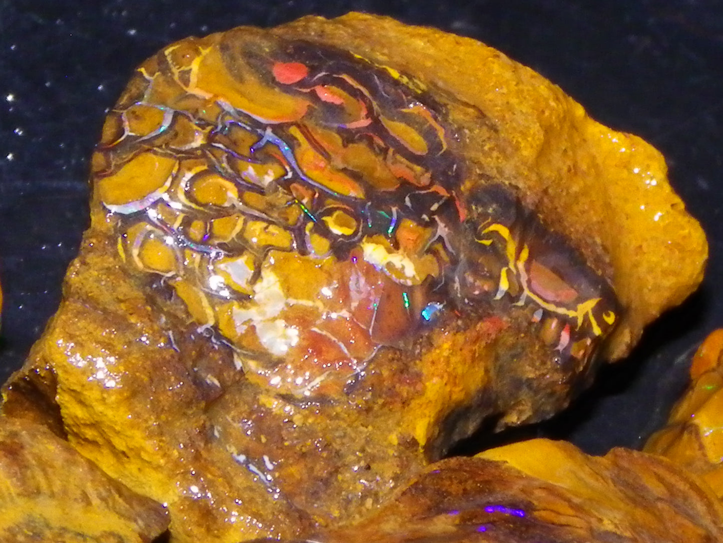 Nice Rough/Sliced Koroit/Matrix Opal Parcel 226.2cts Queensland Australia Veins/Pattern