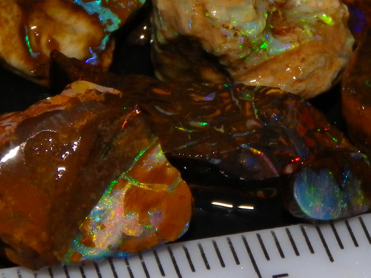 Nice Rough/Sliced Koroit/Matrix Opal Parcel 226.2cts Queensland Australia Veins/Pattern