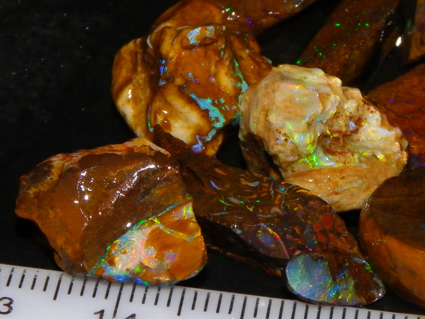 Nice Rough/Sliced Koroit/Matrix Opal Parcel 226.2cts Queensland Australia Veins/Pattern