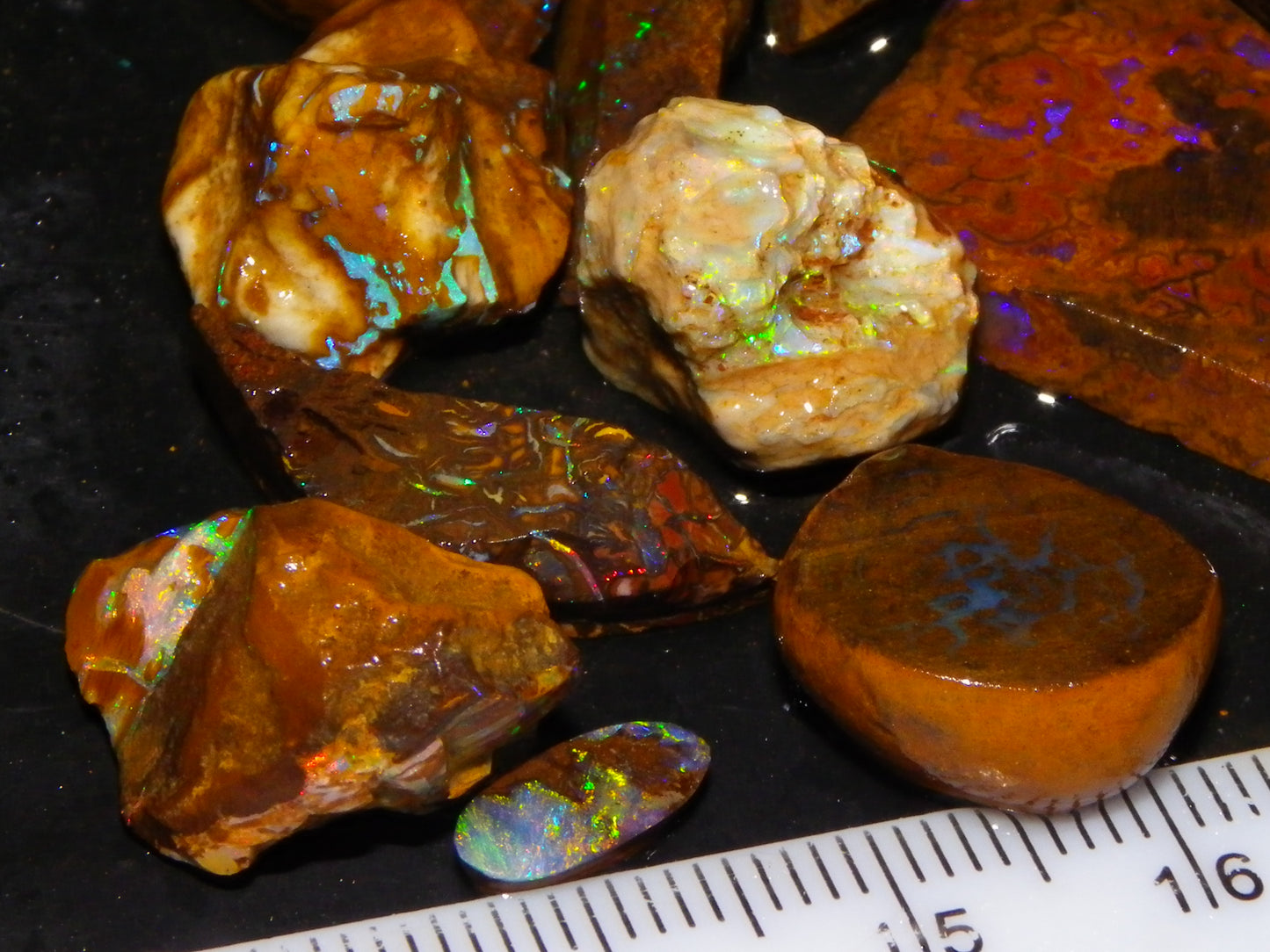 Nice Rough/Sliced Koroit/Matrix Opal Parcel 226.2cts Queensland Australia Veins/Pattern