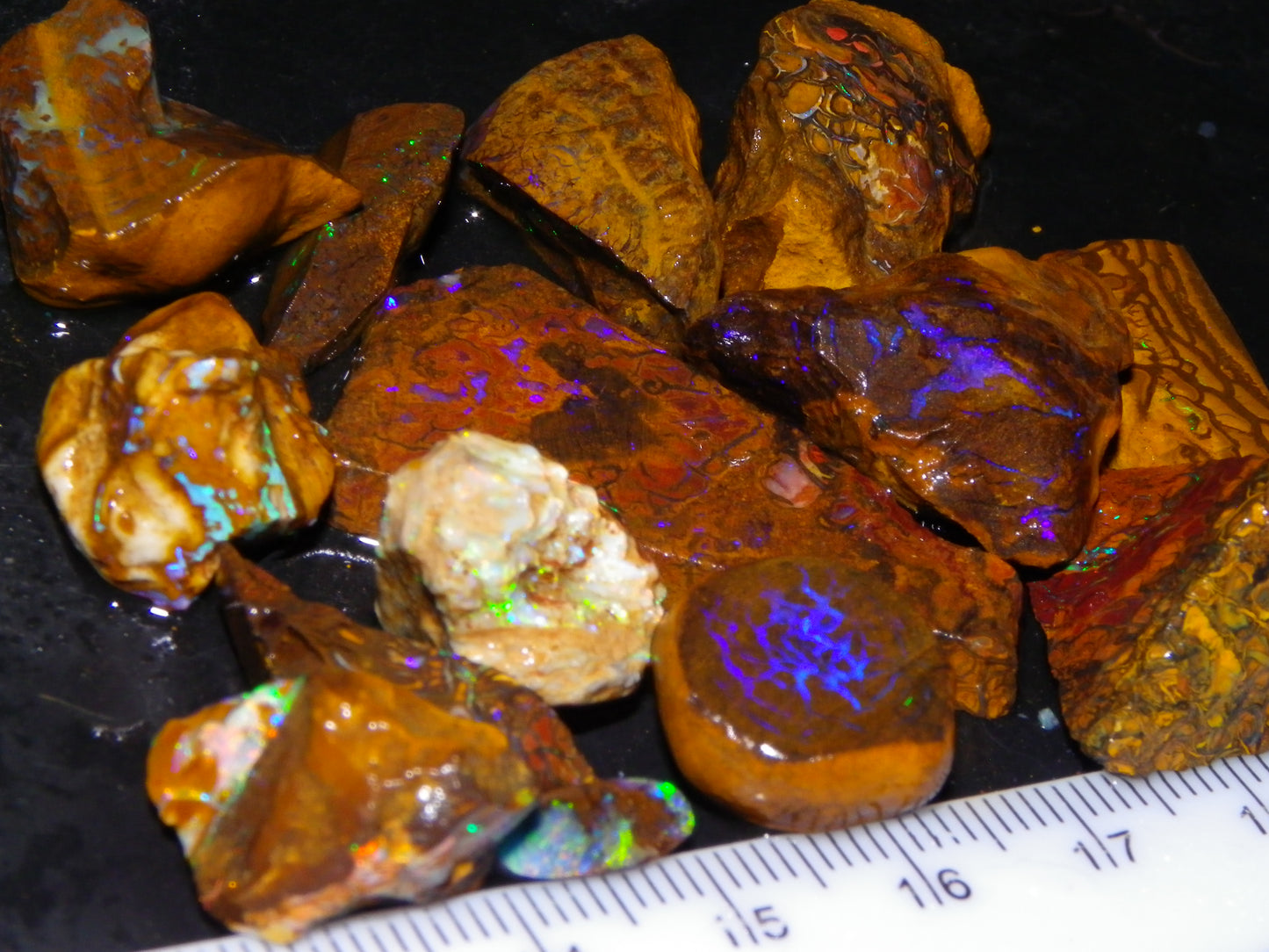 Nice Rough/Sliced Koroit/Matrix Opal Parcel 226.2cts Queensland Australia Veins/Pattern