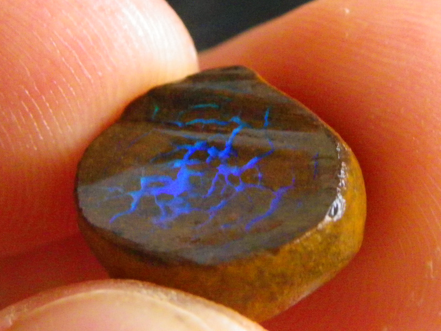 Nice Rough/Sliced Koroit/Matrix Opal Parcel 226.2cts Queensland Australia Veins/Pattern