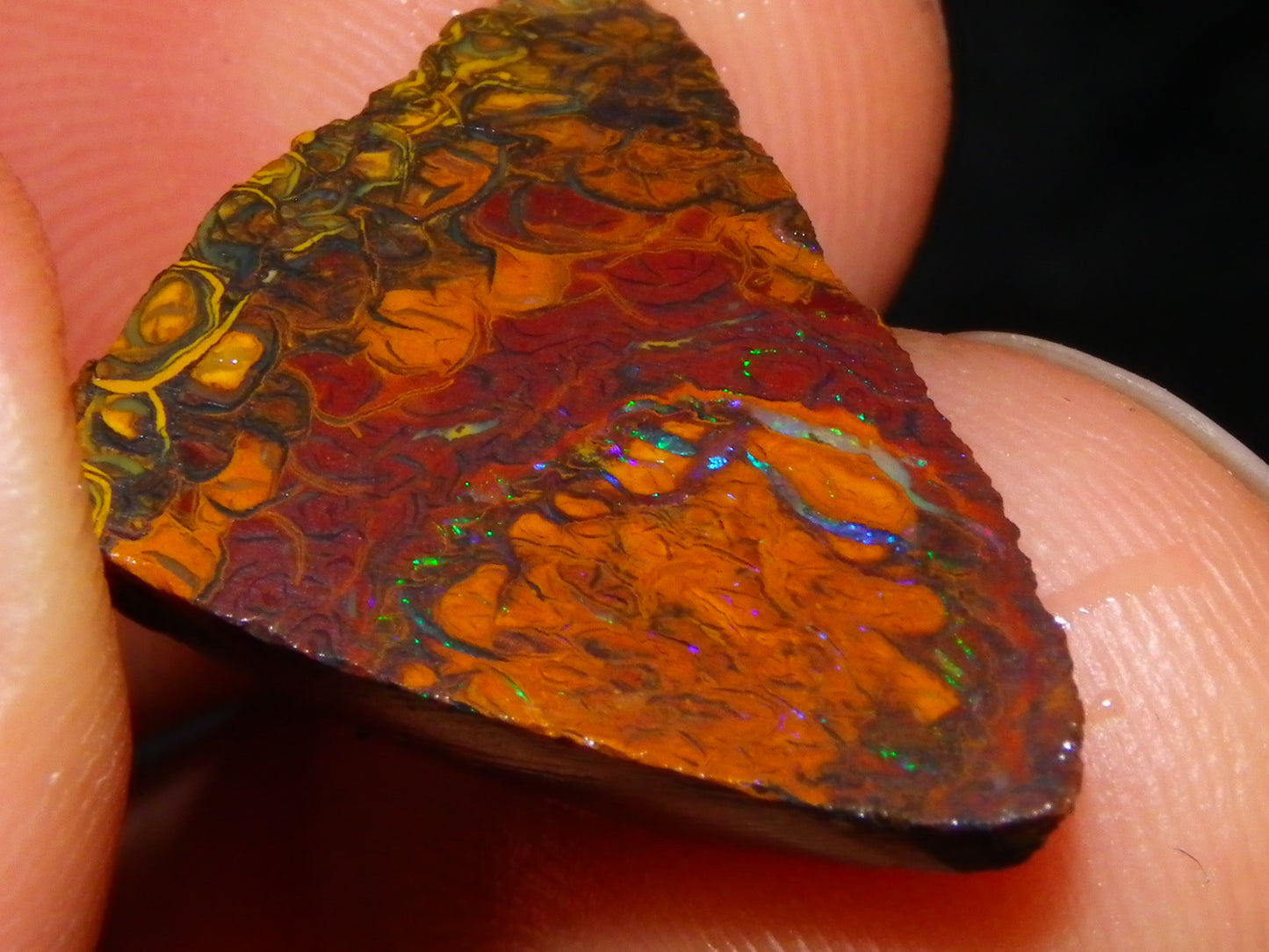 Nice Rough/Sliced Koroit/Matrix Opal Parcel 226.2cts Queensland Australia Veins/Pattern