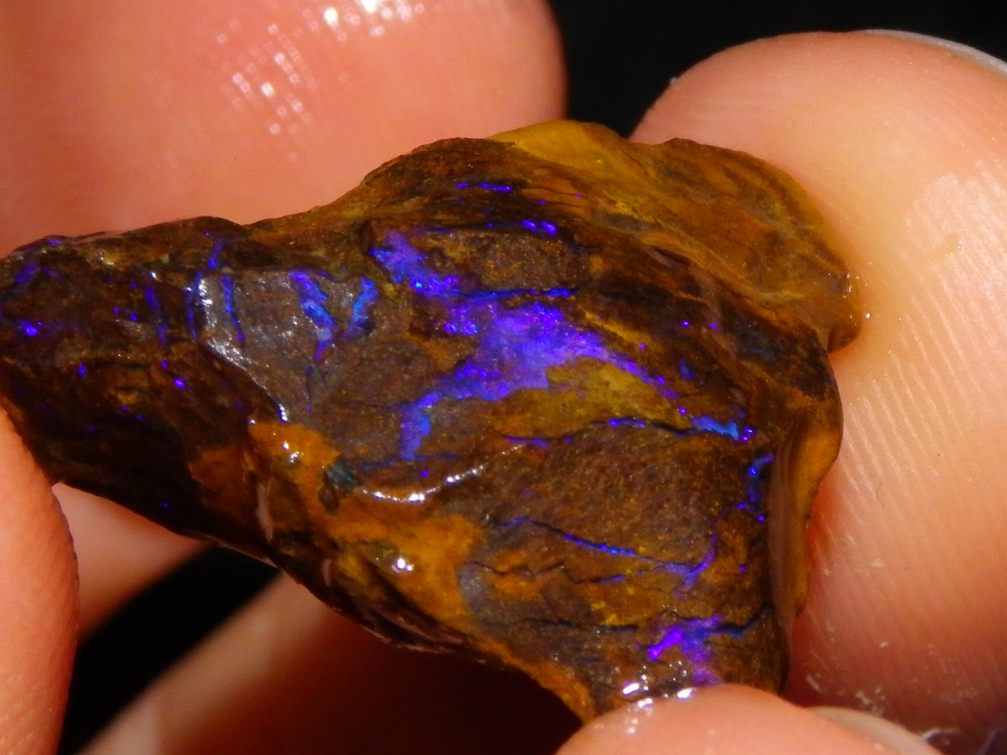 Nice Rough/Sliced Koroit/Matrix Opal Parcel 226.2cts Queensland Australia Veins/Pattern