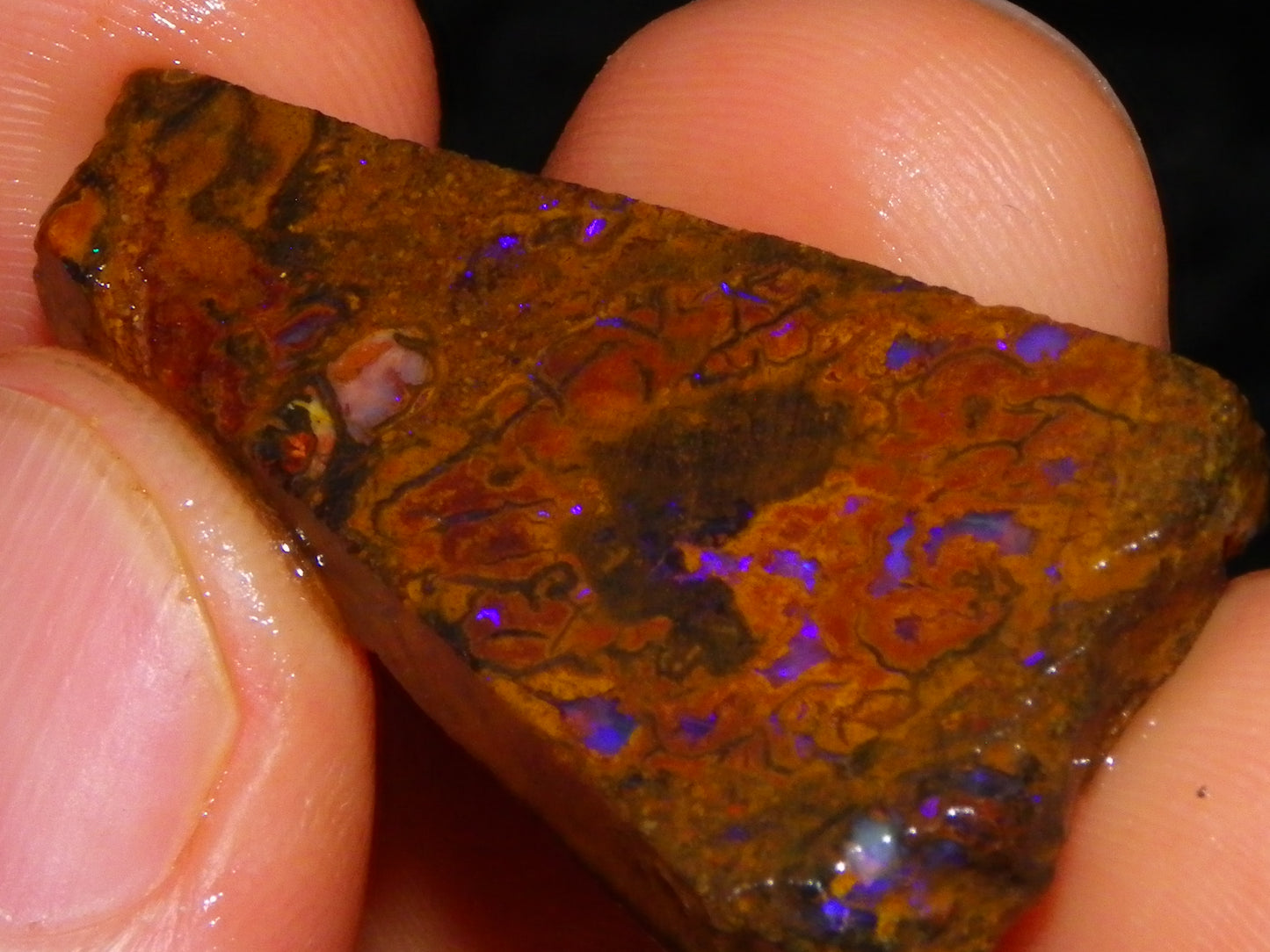 Nice Rough/Sliced Koroit/Matrix Opal Parcel 226.2cts Queensland Australia Veins/Pattern