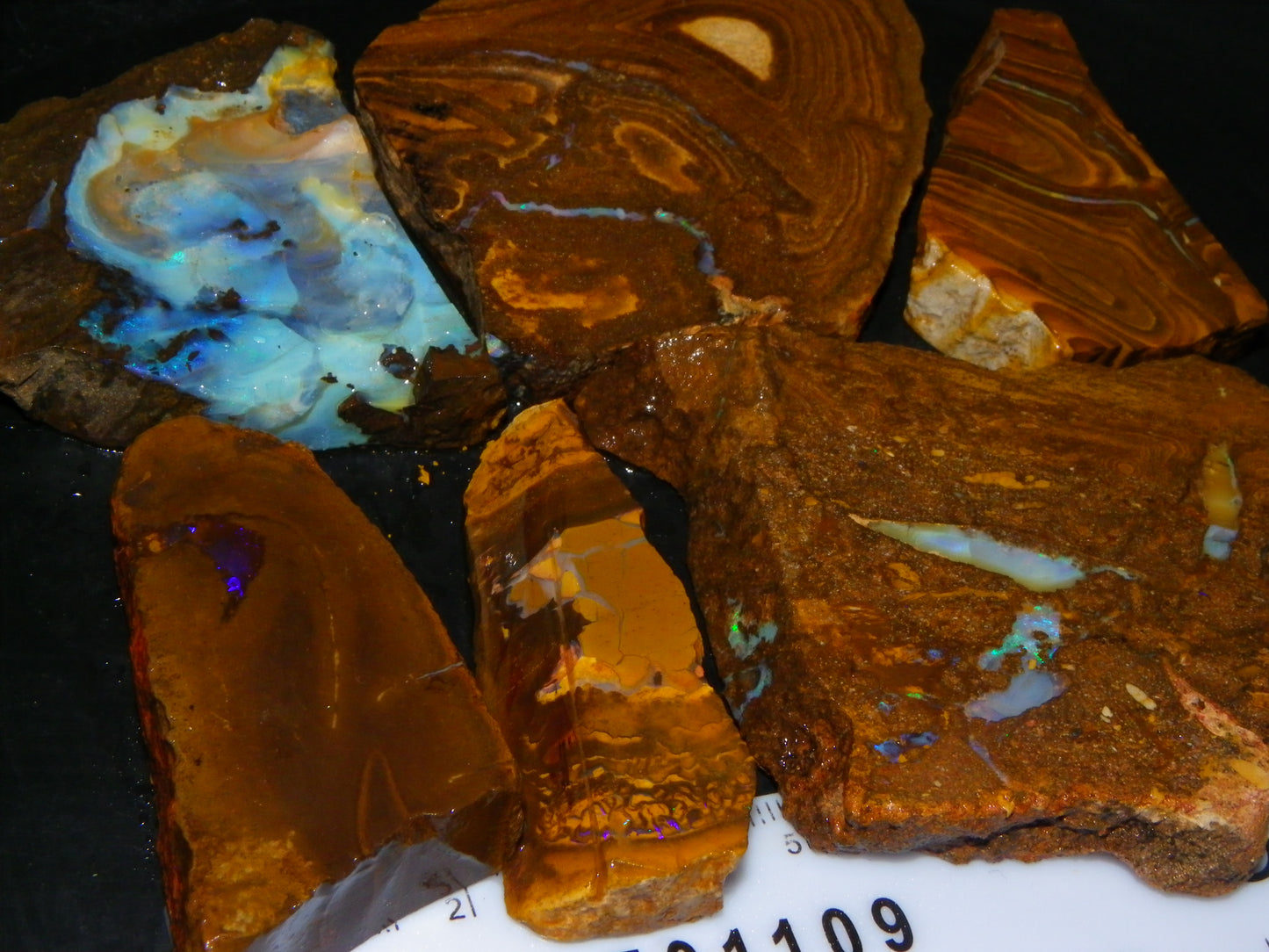 Larger Rough/Sliced Boulder Opal specimens 1327cts Queensland Australia :)