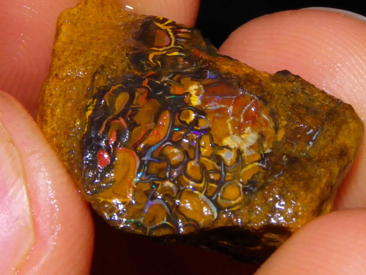 Nice Rough/Sliced Koroit/Matrix Opal Parcel 226.2cts Queensland Australia Veins/Pattern