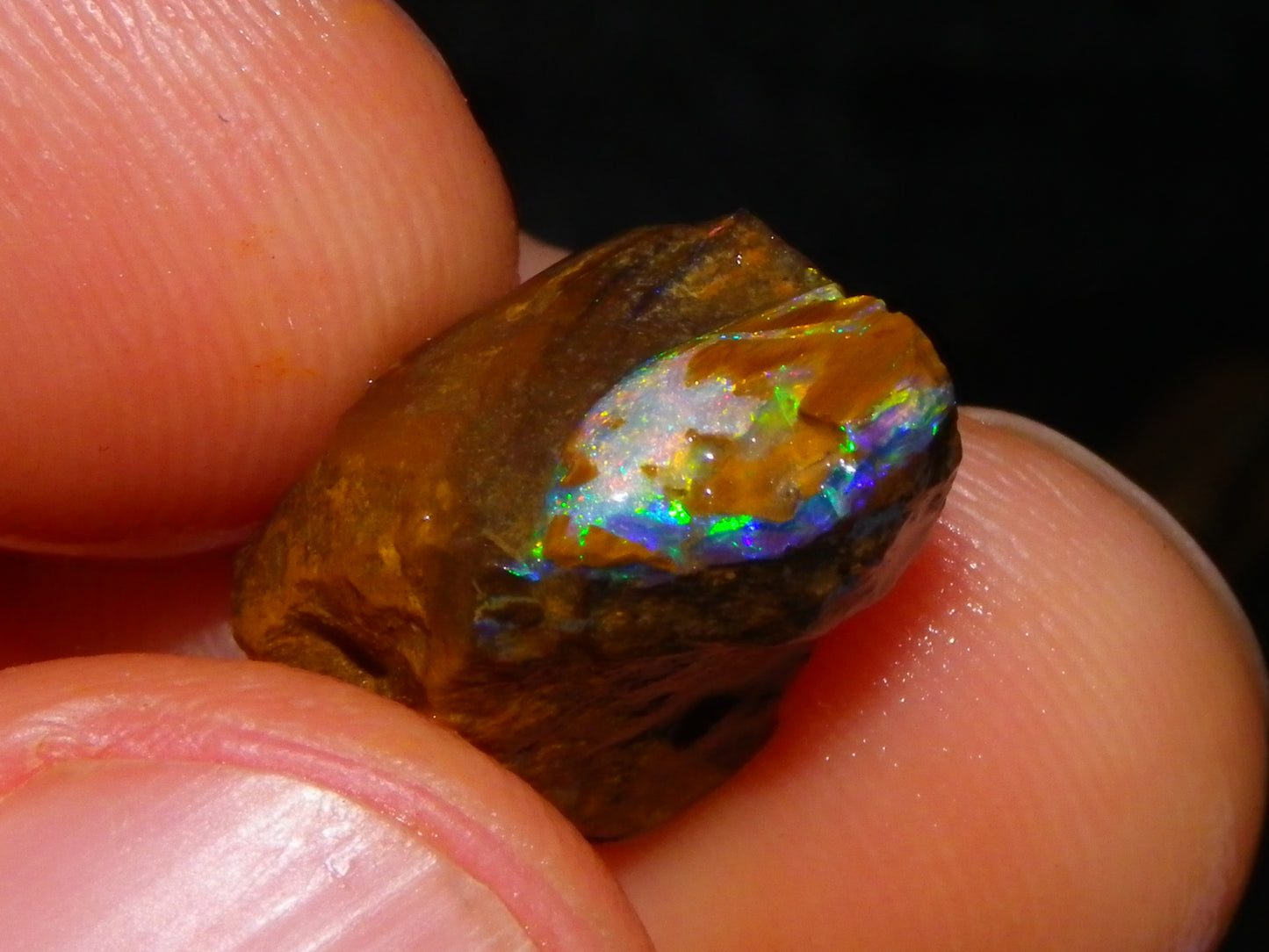 Nice Rough/Sliced Koroit/Matrix Opal Parcel 226.2cts Queensland Australia Veins/Pattern