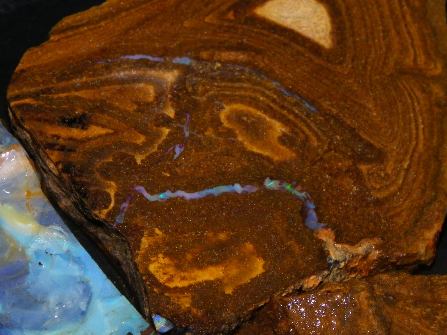 Larger Rough/Sliced Boulder Opal specimens 1327cts Queensland Australia :)