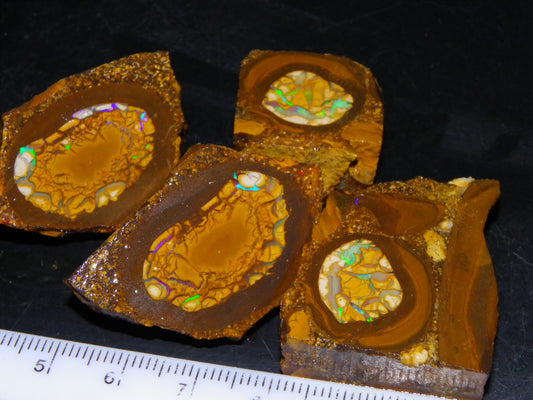 2 Nice Sliced Opalton/Nut Opal specimens 277cts Green Fire/Patterns Pairs