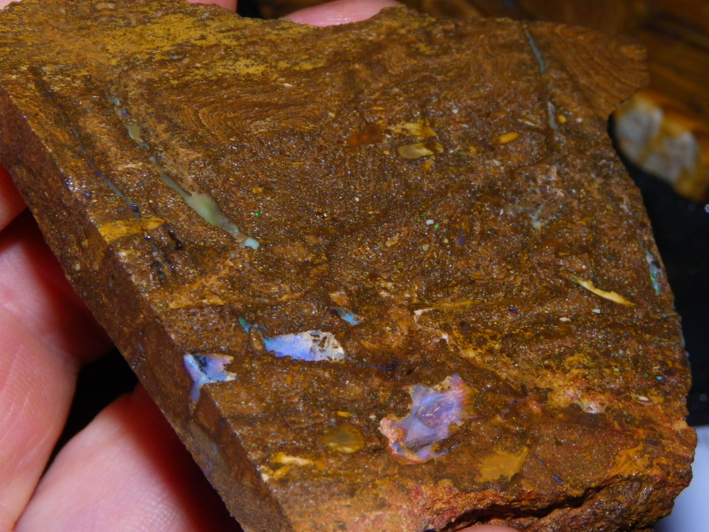 Larger Rough/Sliced Boulder Opal specimens 1327cts Queensland Australia :)