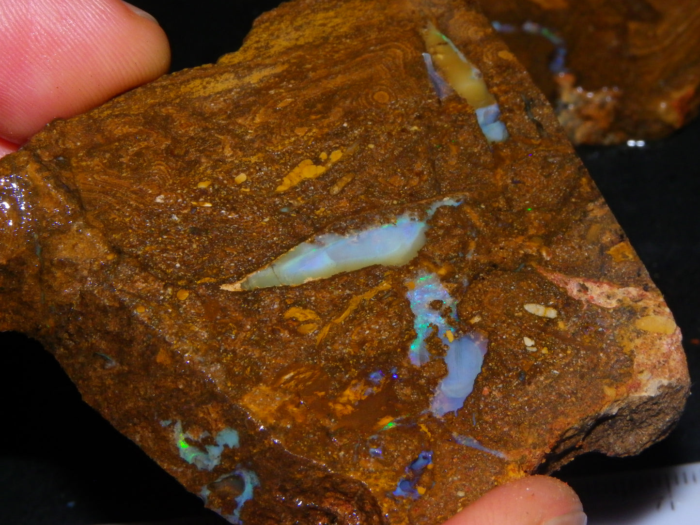 Larger Rough/Sliced Boulder Opal specimens 1327cts Queensland Australia :)