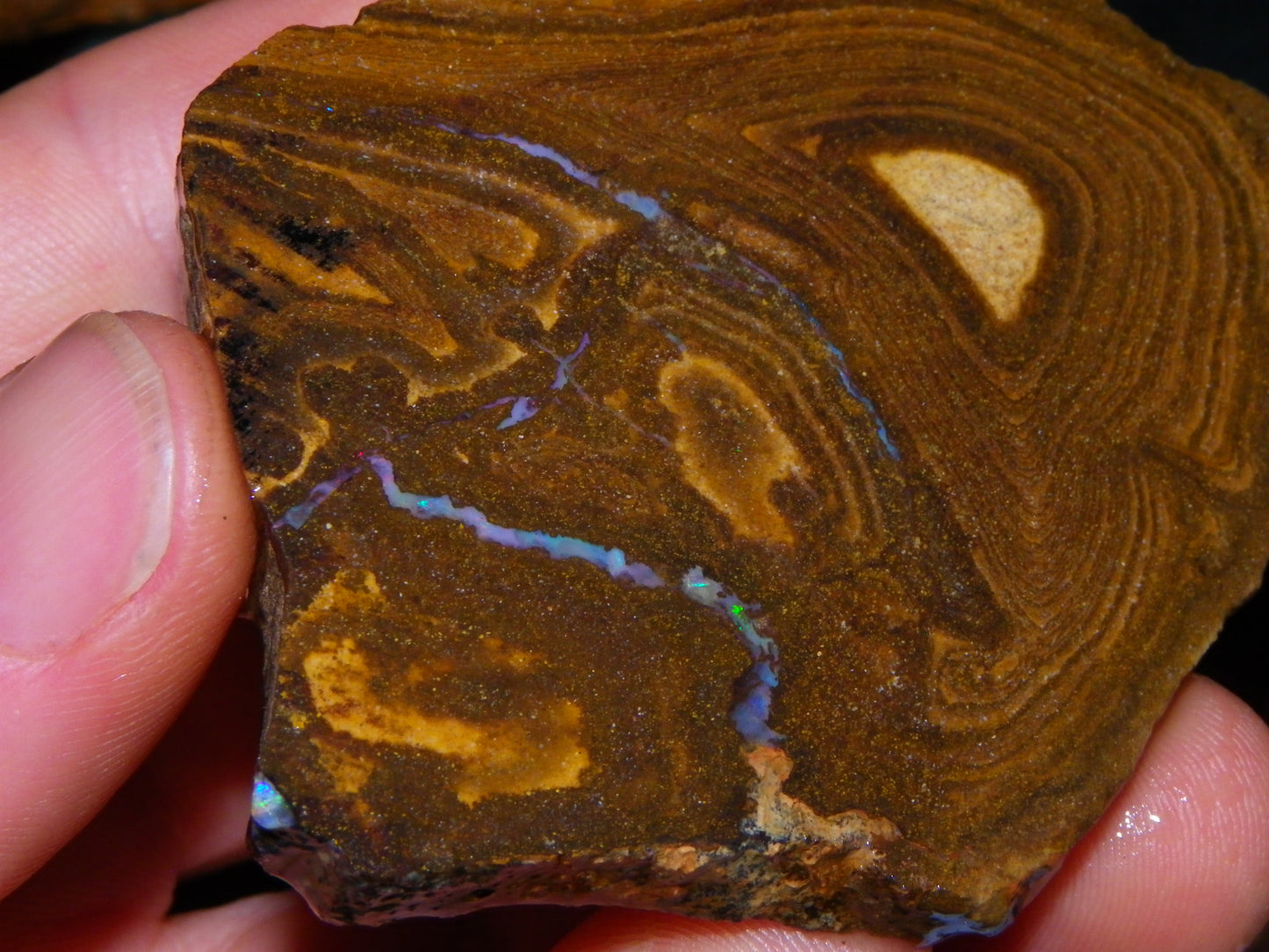 Larger Rough/Sliced Boulder Opal specimens 1327cts Queensland Australia :)