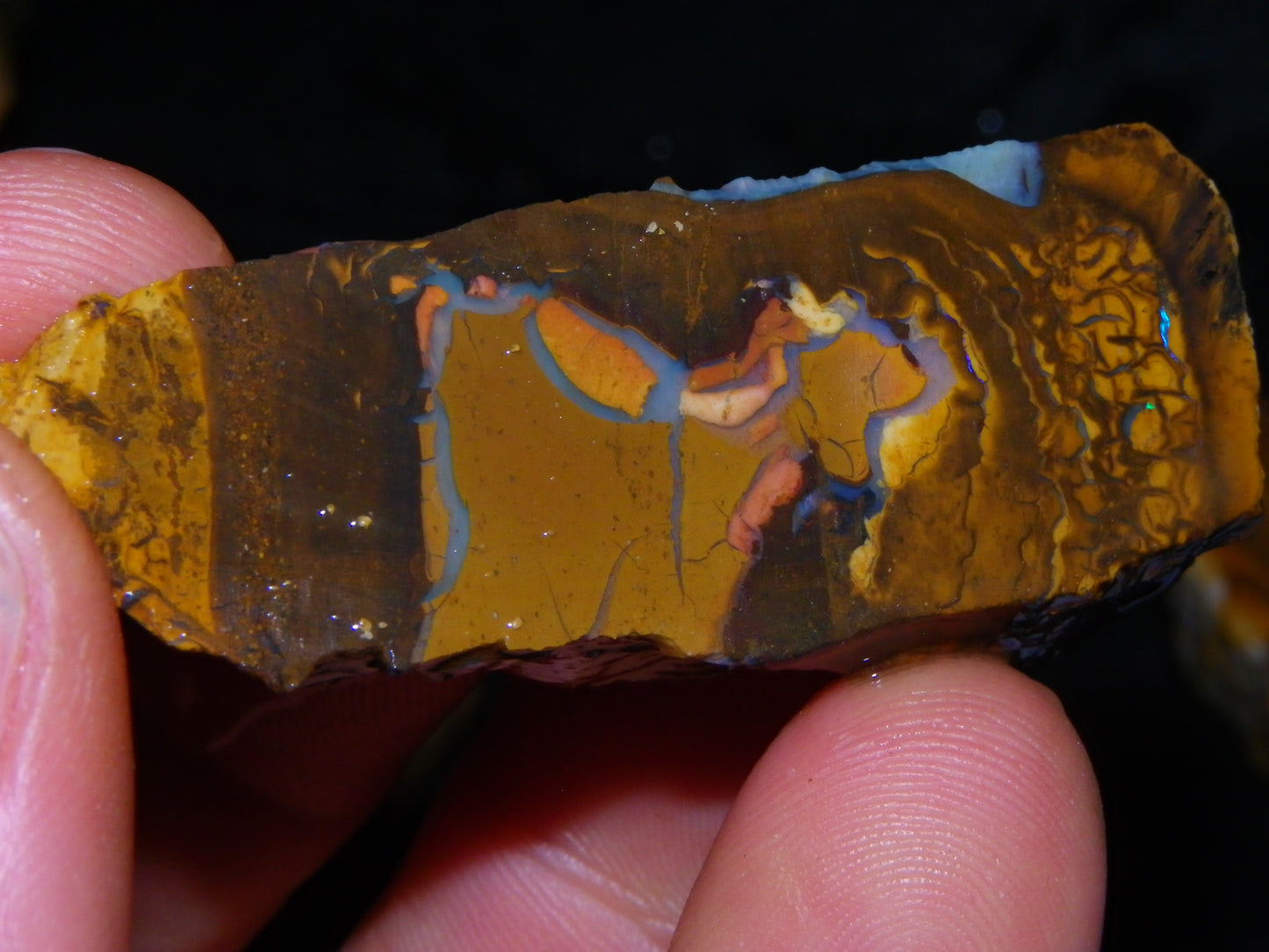 Larger Rough/Sliced Boulder Opal specimens 1327cts Queensland Australia :)