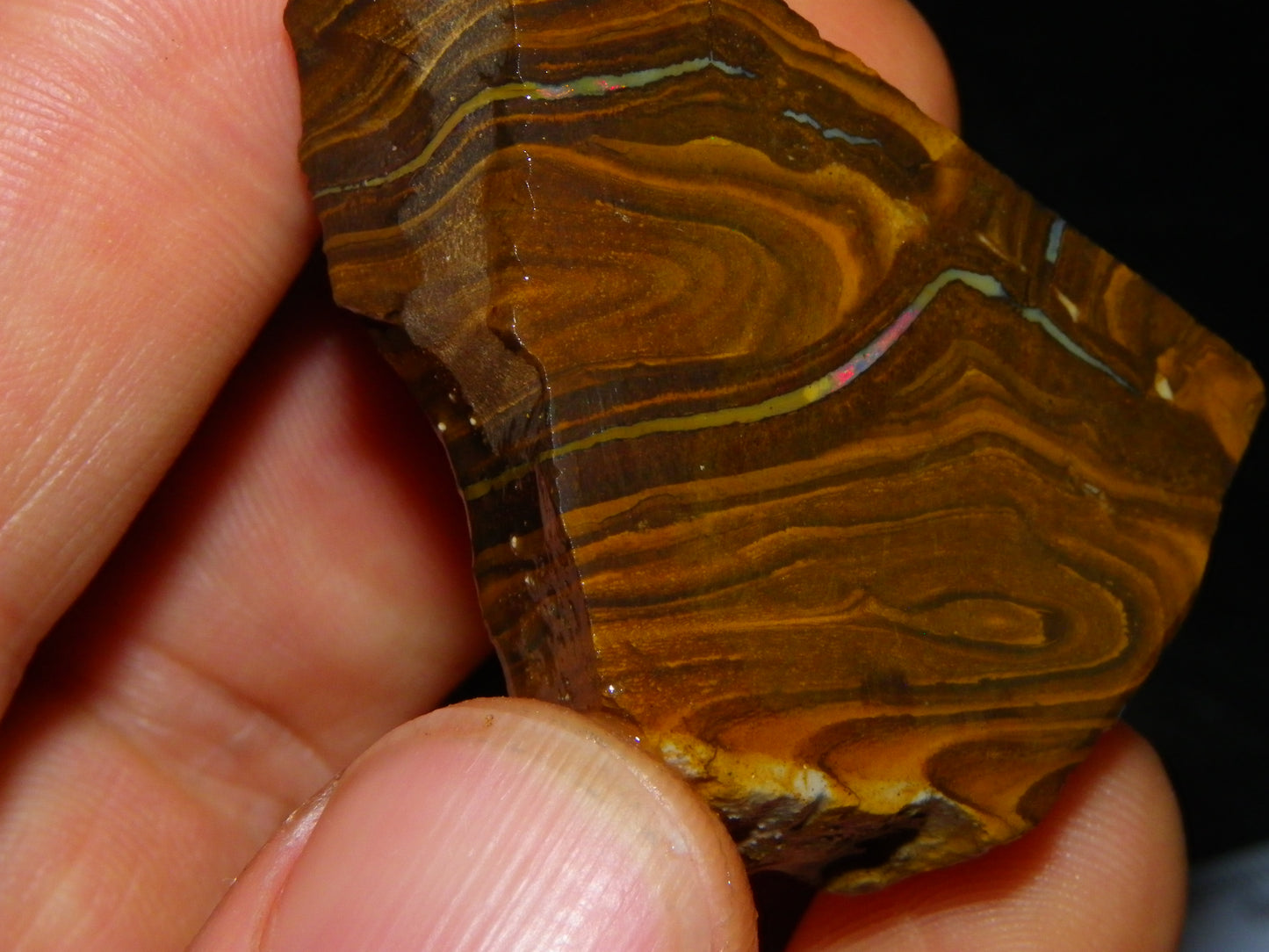 Larger Rough/Sliced Boulder Opal specimens 1327cts Queensland Australia :)