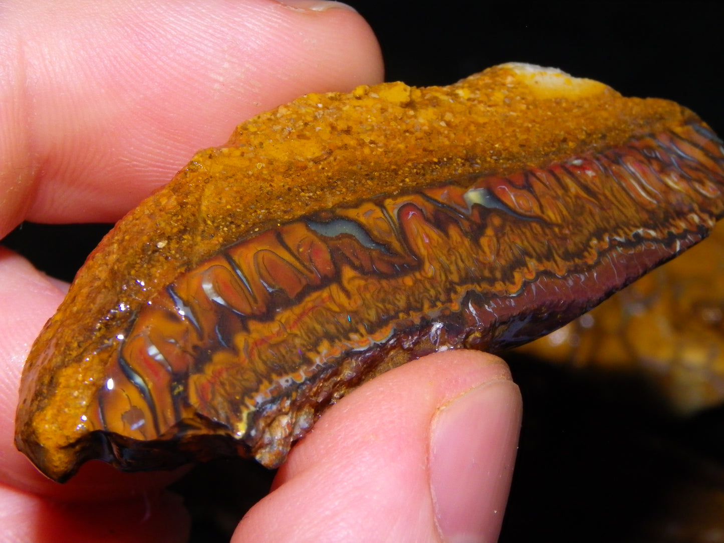 Nice Sliced/Rough Koroit Opal Parcel 1088cts Queensland Australia :) Ironstones