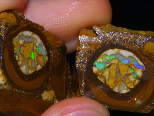 2 Nice Sliced Opalton/Nut Opal specimens 277cts Green Fire/Patterns Pairs