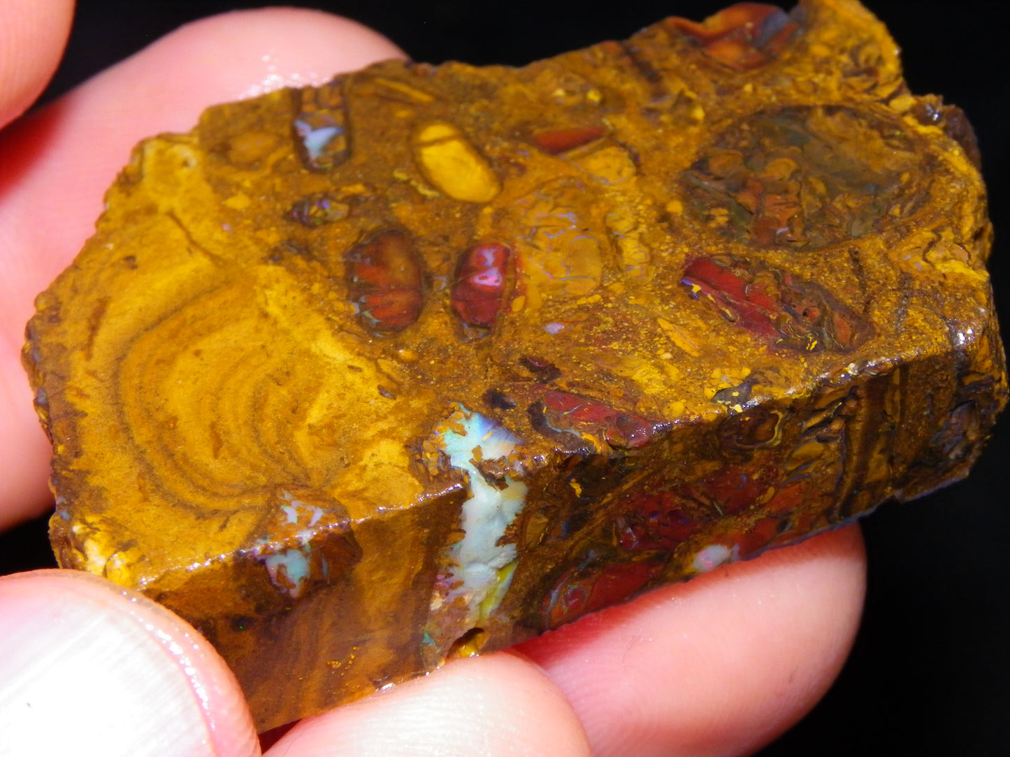 Nice Sliced/Rough Koroit Opal Parcel 1088cts Queensland Australia :) Ironstones