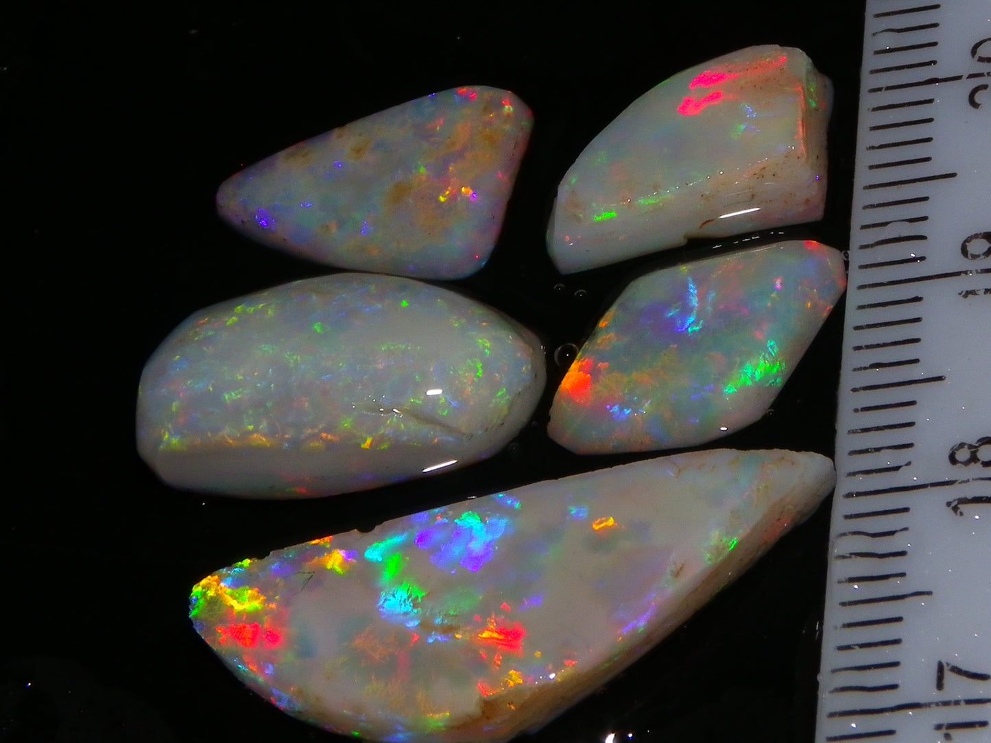 Bright Lightning Ridge Opal Rubs 16.7cts Red/Green/Blue Fires Australia Seam :)