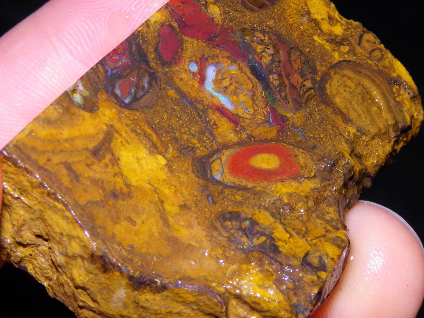 Nice Sliced/Rough Koroit Opal Parcel 1088cts Queensland Australia :) Ironstones