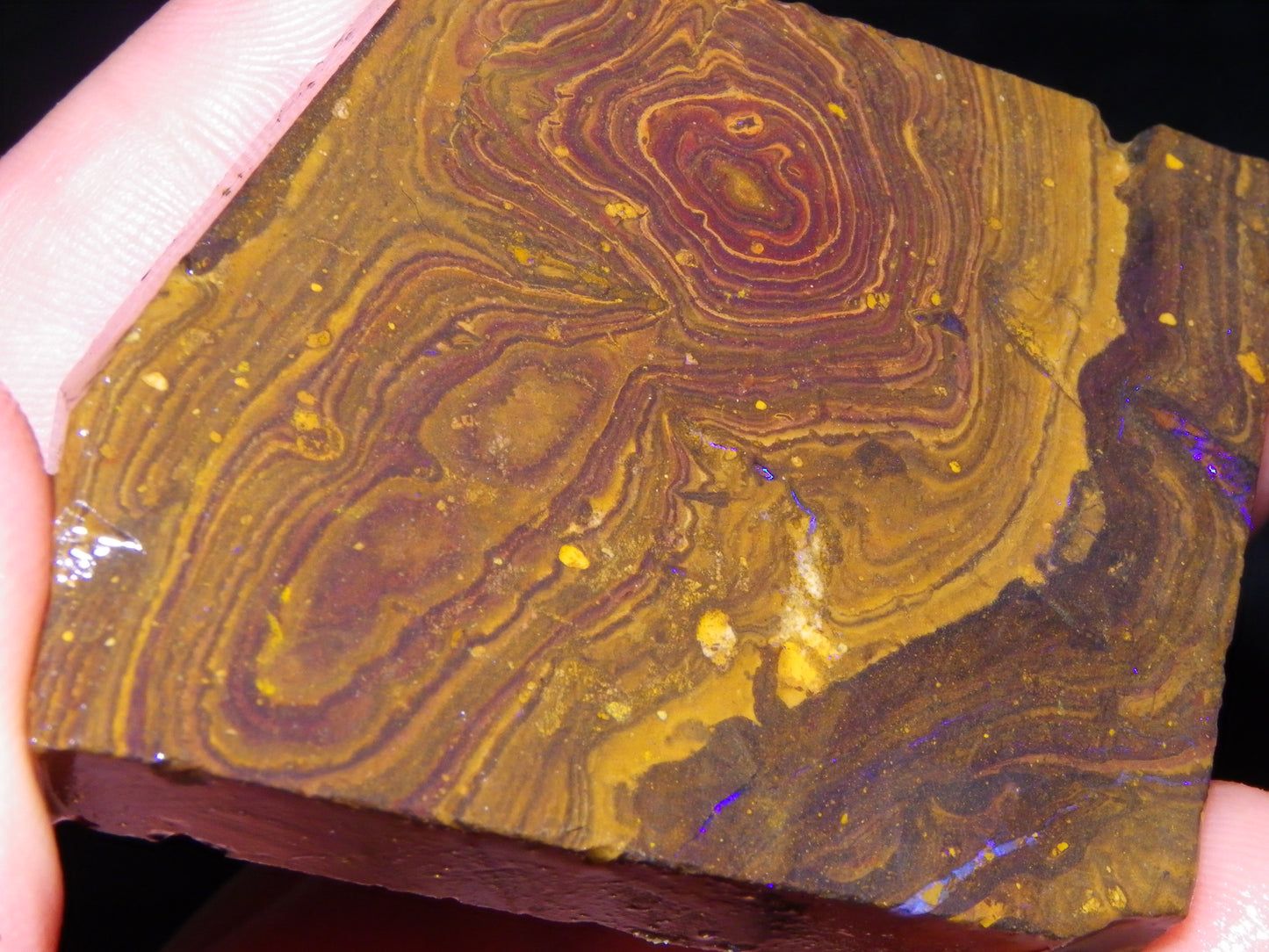 Nice Sliced/Rough Koroit Opal Parcel 1088cts Queensland Australia :) Ironstones