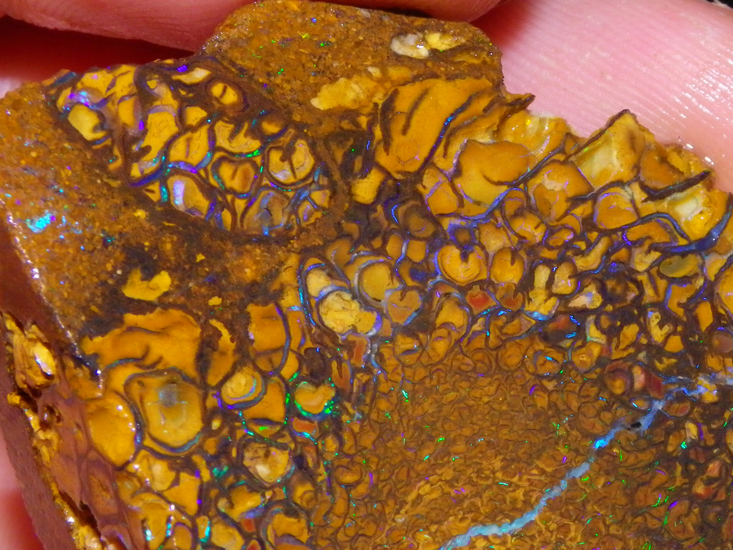 Nice Koroit Opal Sliced Specimen 156.6cts Patterns/Fires Ironstones Queensland Australia