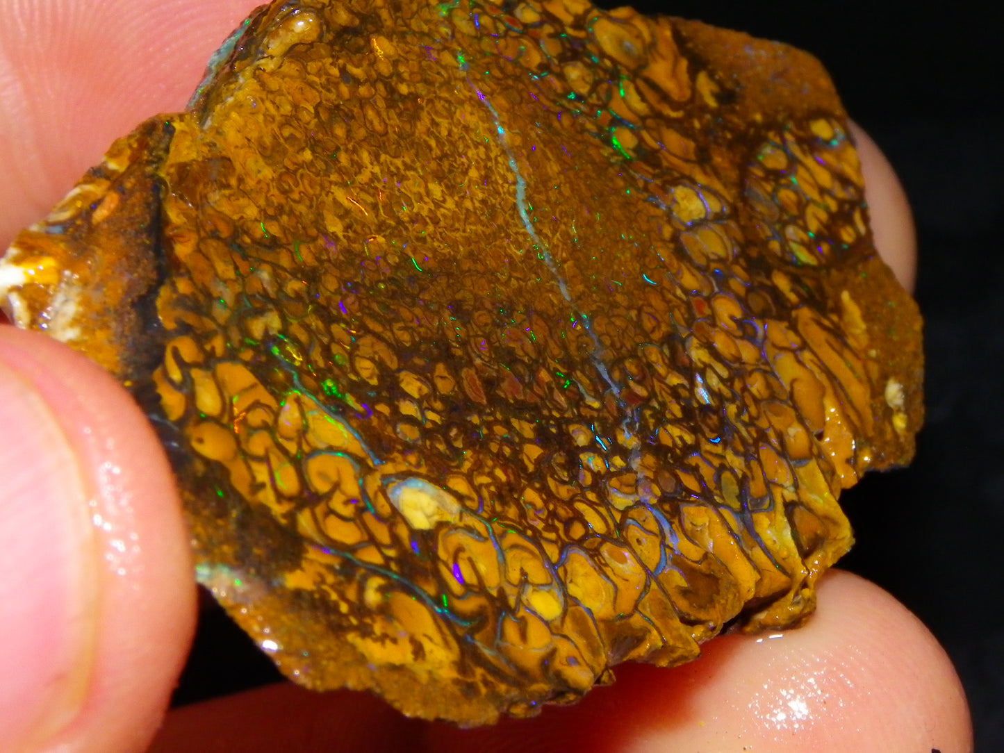 Nice Koroit Opal Sliced Specimen 156.6cts Patterns/Fires Ironstones Queensland Australia