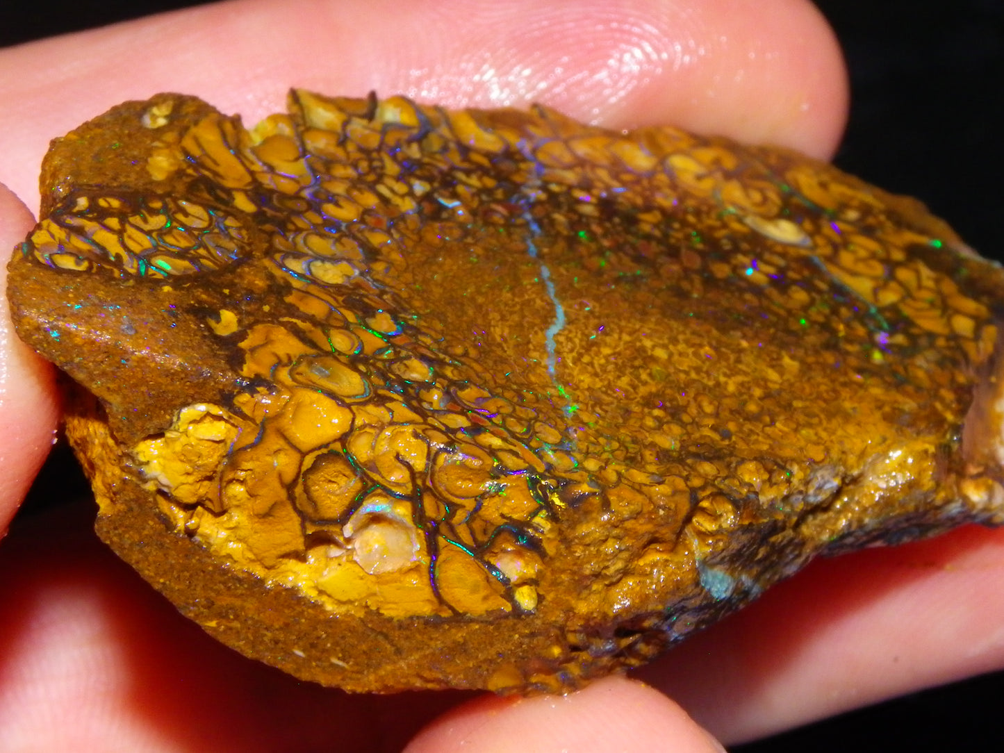 Nice Koroit Opal Sliced Specimen 156.6cts Patterns/Fires Ironstones Queensland Australia