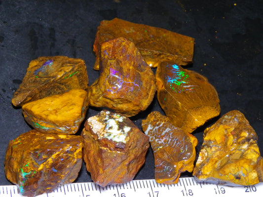 Nice Rough/Sliced Koroit/Matrix Opal Parcel