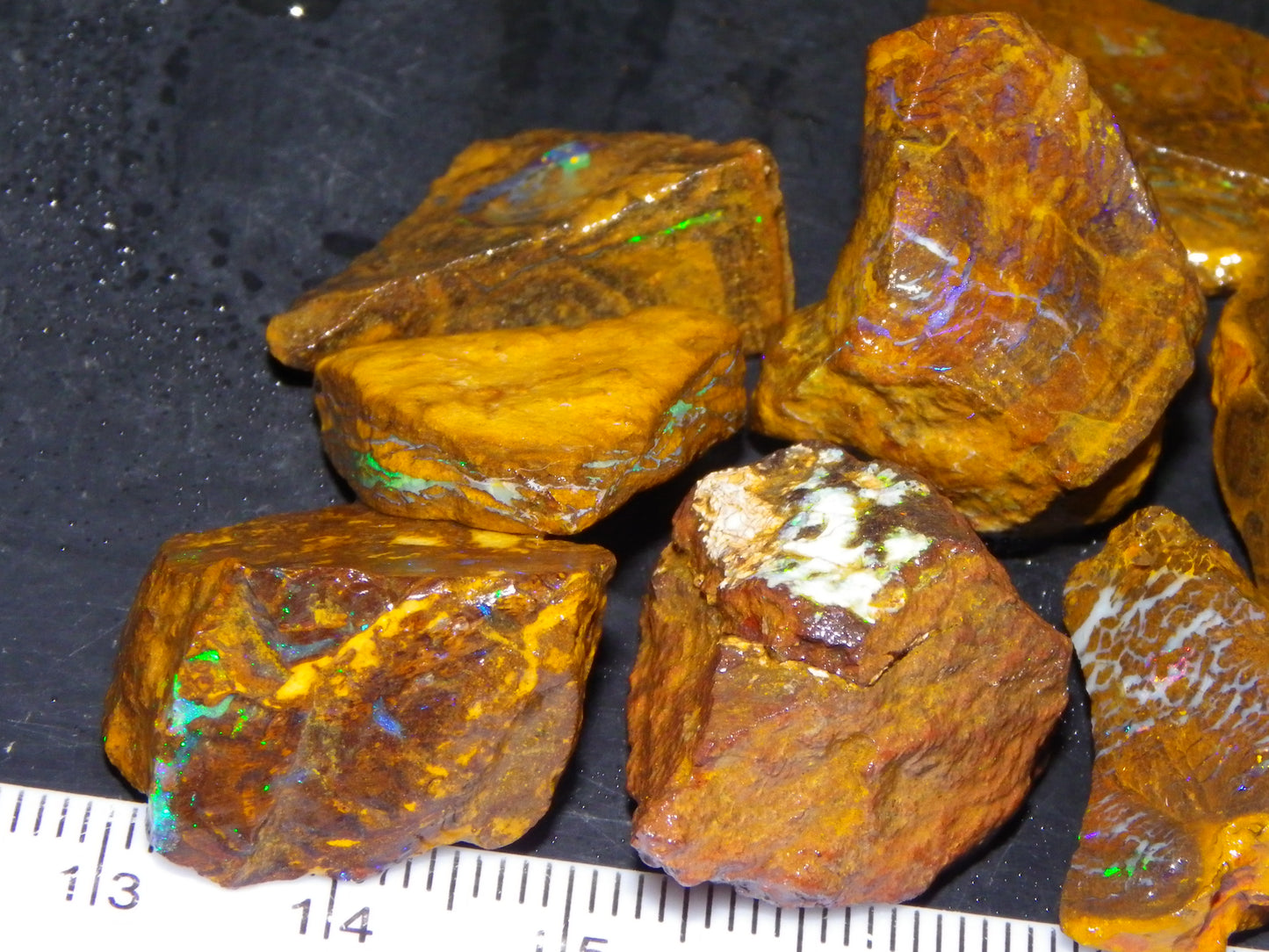 Nice Rough/Sliced Koroit/Matrix Opal Parcel